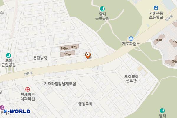 신영빌딩 위치 지도 — 서울특별시 개포로 249 (개포동)