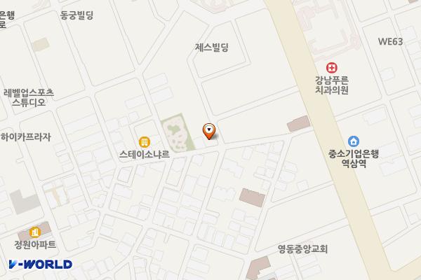 광택 선팅 전문 위치 지도 — 서울특별시 논현로79길 20(역삼동)