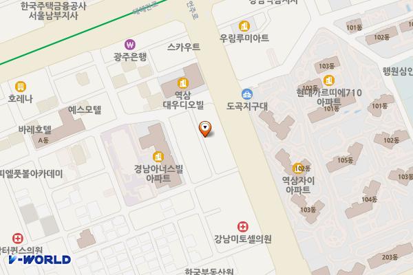 개나리 주유소 위치 지도 — 서울특별시 언주로 423 (역삼동)