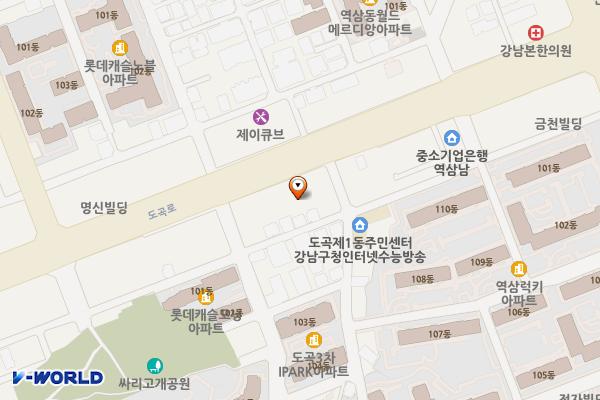 선진주유소 위치 지도 — 서울특별시 도곡로 162 (도곡동)