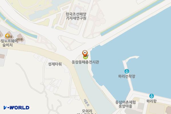 동삼동패총전시관 위치 지도 — 부산광역시 영도구 태종로 729