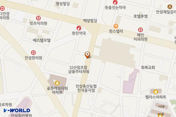 안성맞춤대로2구간 위치 지도 — 경기도 안성시 서인동 121