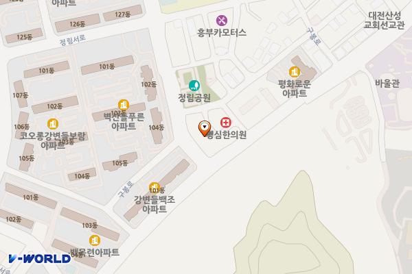 정림동우체국 위치 지도 — 대전광역시 서구 정림로 4