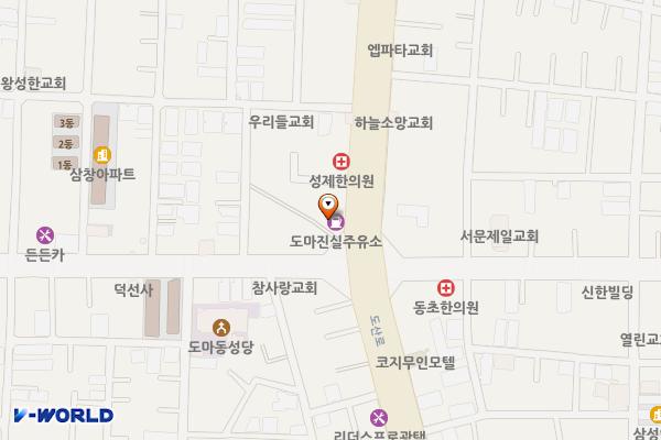 도마진실주유소 위치 지도 — 대전광역시 서구 도산로 123 (도마동)