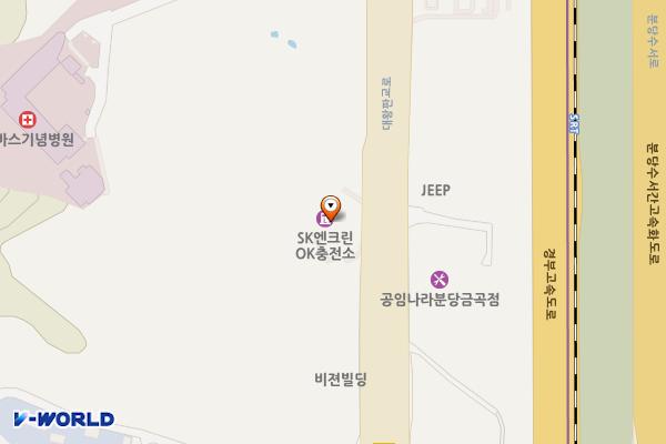 에스케이오케이충전소 위치 지도 — 경기도 성남시 분당구 대왕판교로 131 (금곡동)