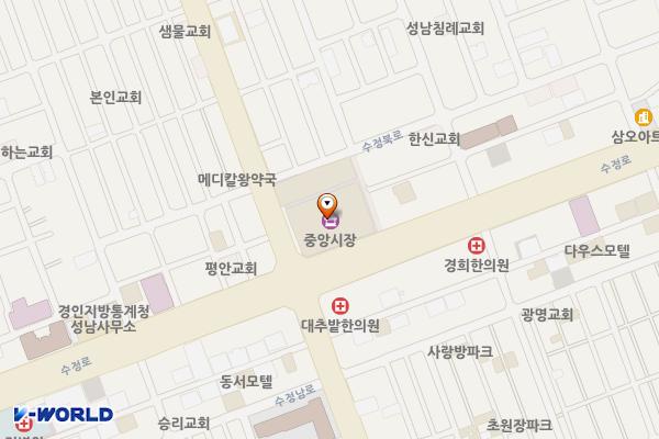 성남중앙공설시장 위치 지도 — 경기도 성남시 수정구 수정로 109, 중앙공설시장 (태평동)