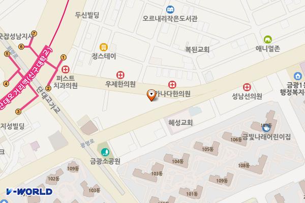 행림빌딩(성남요양병원) 위치 지도 — 경기도 성남시 중원구 광명로 299, 행림빌딩 (금광동)
