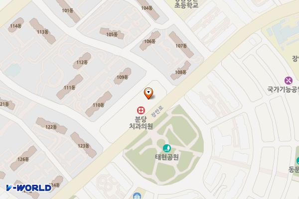 분당동행정복지센터 위치 지도 — 경기도 성남시 분당구 장안로 37 (분당동)