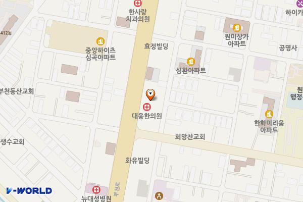 고운여성병원 위치 지도 — 경기도 부천시 원미구 부천로 110-1(원미동)