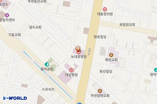 뉴대성병원 위치 지도 — 경기도 부천시 원미구 부천로 91(심곡동)