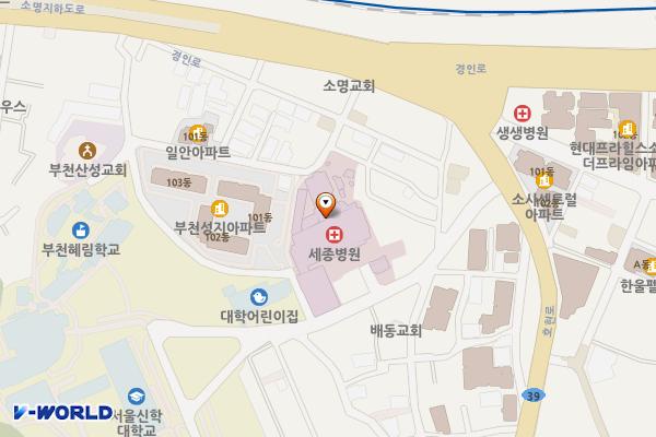 부천세종병원 위치 지도 — 경기도 부천시 소사구 호현로489번길 28(소사본동)