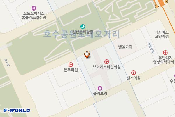 효산캐슬 위치 지도 — 경기도 고양시 일산동구 중앙로1261번길 55 (장항동),