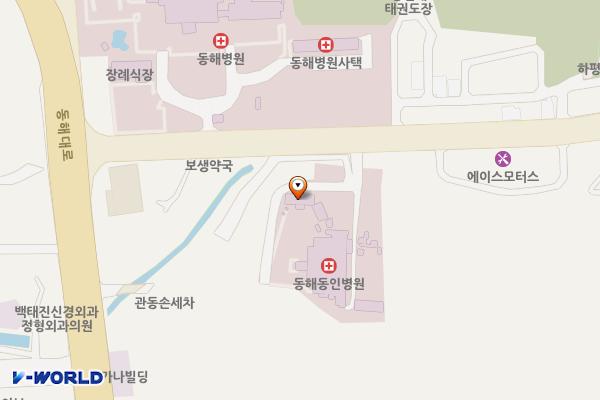 동해동인병원 위치 지도 — 강원특별자치도 동해시 하평로 26