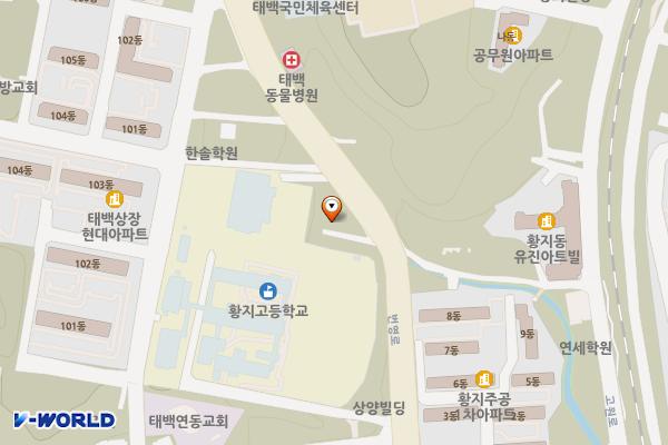 황지고등학교(체육관) 위치 지도 — 강원특별자치도 태백시 번영로 179 (황지동)
