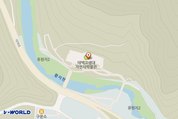 고생대자연사박물관 위치 지도 — 강원특별자치도 태백시 태백로 2249 (동점동)