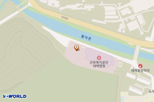 근로복지공단 태백병원 장례식장 위치 지도 — 강원특별자치도 태백시 보드미길 8(장성동)