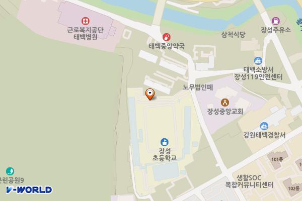 장성초등학교(본관 1층) 위치 지도 — 강원특별자치도 태백시 보드미길 26 (장성동)