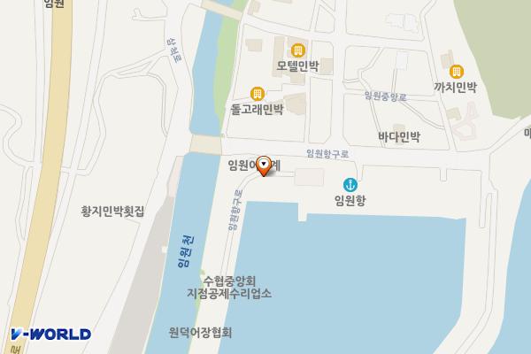 임원항B(회센터 옆) 위치 지도 — 강원특별자치도 삼척시 원덕읍 임원항구로 12-13