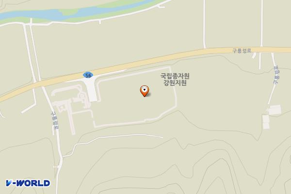 국립종자원 강원지원 1층 화장실 위치 지도 — 강원특별자치도 홍천군 서석면 구룡령로 2190