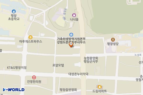 평창군청소년문화의집 위치 지도 — 강원특별자치도 평창군 평창읍 평창중아로 67