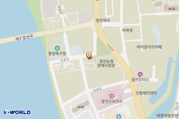 국민건강보험공단 정선출장소 1층 위치 지도 — 강원특별자치도 정선군 정선읍 녹송로 55-11