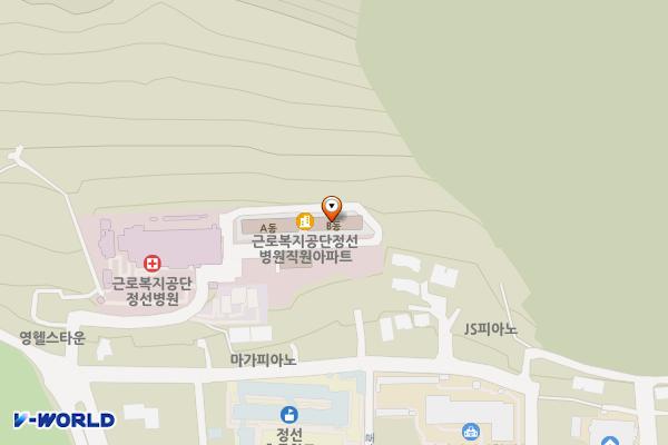 정선병원(장례식장) 위치 지도 — 강원특별자치도 정선군 정선읍 봉양1길145