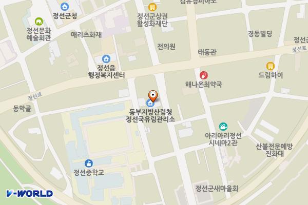 정선국유림관리소 1층 위치 지도 — 강원특별자치도 정선군 정선읍 봉양5길 17