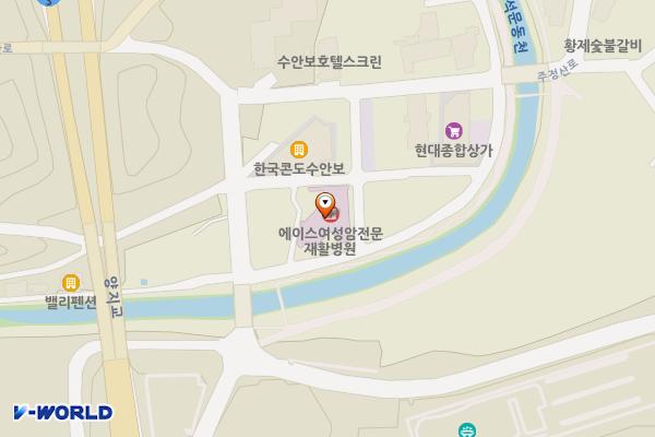 에이스요양병원 위치 지도 — 충청북도 충주시 수안보면 조산공원길 9-9