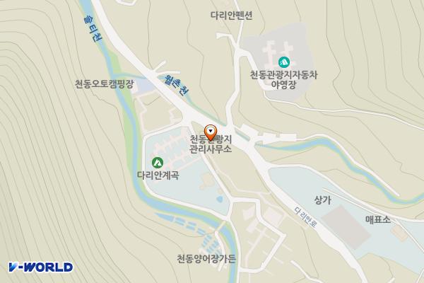 천동물놀이장 위치 지도 — 충청북도 단양군 단양읍 다리안로 534