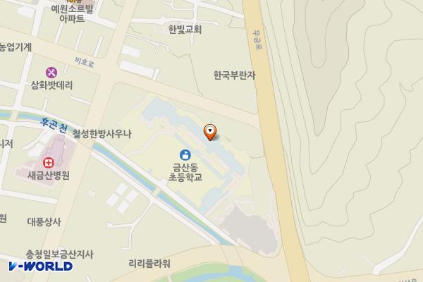 동초등학교 위치 지도 — 충청남도 금산군 금산읍 아인리102번지