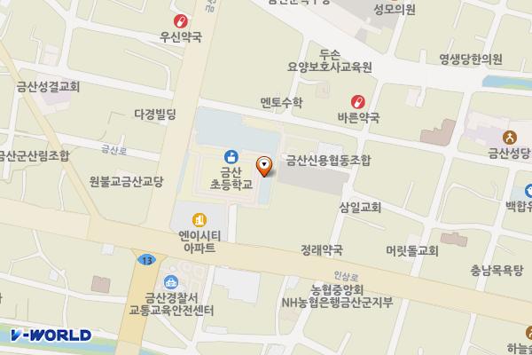 금산초등학교 위치 지도 — 충청남도 금산군 금산읍 인삼로 69