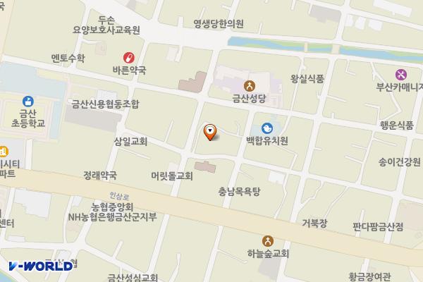 효사랑병원 위치 지도 — 충청남도 금산군 금산읍 중도리343번지 6호