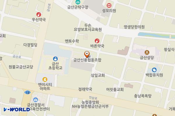 신용협동조합 위치 지도 — 충청남도 금산군 금산읍 상리91번지 2호