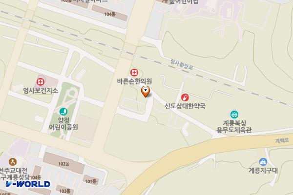 대산식당 옆 공영주차장 위치 지도 — 충청남도 계룡시 엄사면 엄사리 226