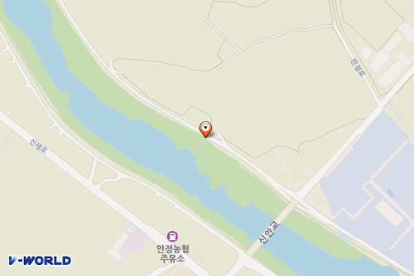 안정면 게이트볼장 위치 지도 — 경상북도 영주시 안정면 안심리 137-2