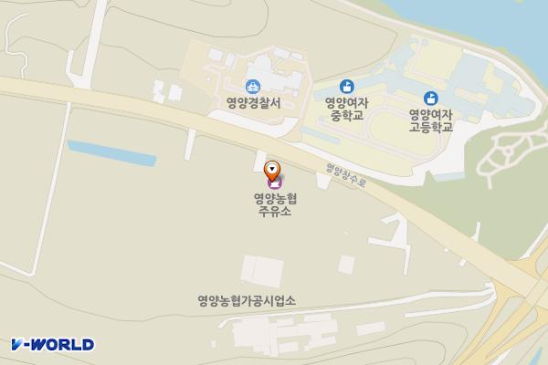 영양농협 주유소 위치 지도 — 경상북도 영양군 영양읍 영양창수로 136-5