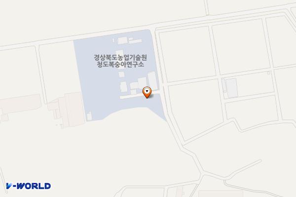 복숭아연구소 위치 지도 — 경상북도 청도군 이서면 가금구라길 186-6