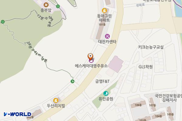 SK대영주유소 위치 지도 — 경상남도 김해시 전하로 229 (흥동)
