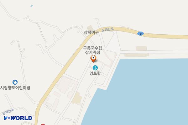양포항 노외주차장 위치 지도 — 경상북도 포항시 남구 장기면 양포리 9-4